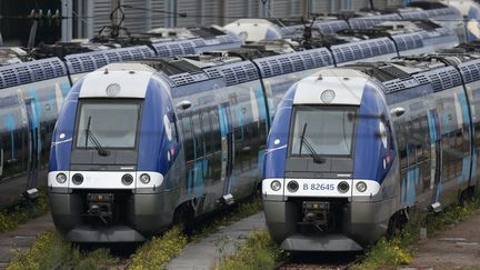 Des trains TER à&nbsp;Sotteville-les-Rouen (Seine-Maritime), le 22 octobre 2015. (CHARLY TRIBALLEAU / AFP)