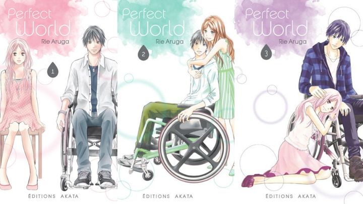 PERFECT WORLD (© RIE ARUGA / AKATA)