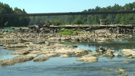 Canicule : près de 50 degrés en France dans les prochaines décennies ?