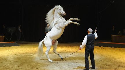 La première du spectacle "Silvia"
 (DELALANDE/SIPA)