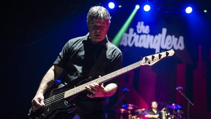 Jean-Jacques Burnel, bassiste du groupe The Stranglers (ZORAN VESELINOVIC / MAXPPP)