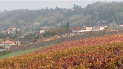 Beaujolais : la chasse à la météorite est lancée