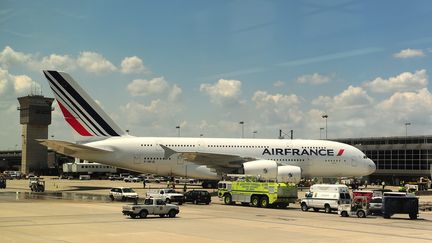 Un avion de la compagnie Air France à&nbsp;l'aéroport international de Washington-Dulles. Photo d'illustration. (KEVIN DIETSCH / MAXPPP)