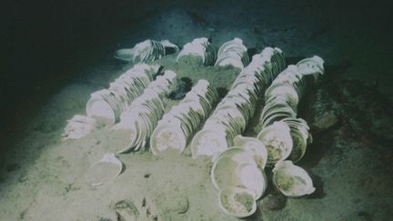 La vaisselle du Titanic retrouvée en 1985 à plus de 3800 mètres de fond
 (Cité de la mer)