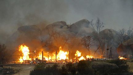 &nbsp; (AP Photo/The Arizona Republic, David Kadlubowski SIPA)