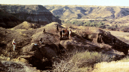 &nbsp; (Des fouilles archélogiques en Ethiopie, pays où a été retrouvé la mandibule et Lucy il y a 40 ans © Ho New Reuters)