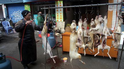 Un &eacute;tal de viande de chien, le 22 d&eacute;cembre 2014, &agrave; Guiyang, dans le sud de la Chine. (AFP)