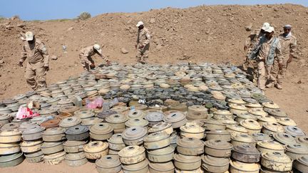 Des experts collectent, le 11 décembre 2018, des mines et des explosifs qui auraient été posés dans le secteur d'Hodeidah, au Yémen.&nbsp; (NAJEEB ALMAHBOOBI / EPA)