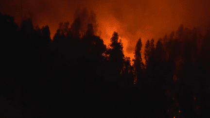 Le Portugal, dépassé par les incendies sur l’île de Madère, lance un appel à l’aide de l’Union européenne. 4 392 hectares ont déjà été détruits.