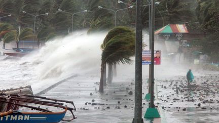 Le super typhon Haiyan a frapp&eacute; les Philippines, le 8 novembre 2013, comme ici &agrave; Legaspi, au sud de Manille.&nbsp; (CHARISM SAYAT / AFP)