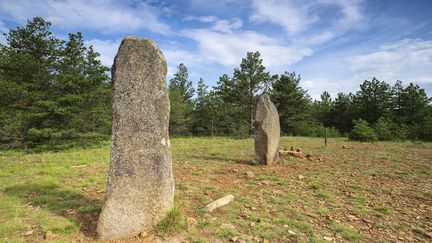 Le site archéologique de la Cham des Bondons, situé entre le  Mont Lozère et la vallée du Tarn, est un plateau qui concentre plus de 150 menhirs granitiques dans le villafe des Bodons, en Lozère. (GUIZIOU FRANCK / HEMIS.FR / HEMIS.FR)