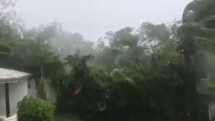 À la Réunion, le cyclone Batsirai fait des dégâts (FRANCEINFO)