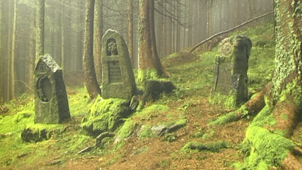 Cimétière allemand à l'abandon au coeur de la Forêt de la Tête des Faux dans les Vosges 
 (Michael St Maur Sheil)