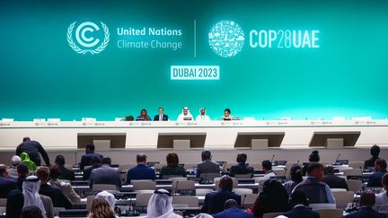 La COP28 à Dubaï, le 1er décembre 2023. (BEATA ZAWRZEL / MAXPPP)