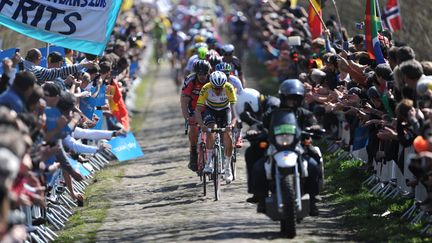 Le peloton lors de la 113e édition de Paris-Roubaix, dans le secteur pavé de la Trouée d’Arenberg, le 12 avril 2015.
 (AFP)