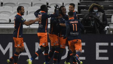 Les Montpelliérains savourent leur victoire face à l'OL. (JEAN-PHILIPPE KSIAZEK / AFP)