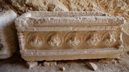 Sarcophage avec portraits gravés, dans la Vallée des tombes du site de Palmyre, en Syrie, 3e siècle après JC (16 mars 2014)
 (Manuel Cohen / AFP)