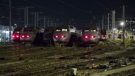 Trains en gare de Châtillon (Hauts-de-Seine). (GEOFFROY VAN DER HASSELT / AFP)