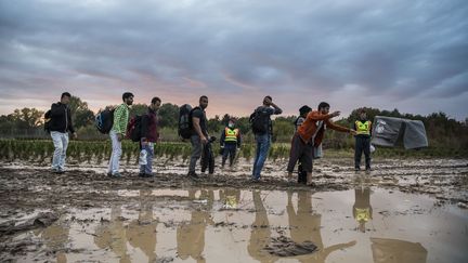 Des migrants franchissent la frontière hongroise, le 16 ocotbre 2015 à Zakany. (ARPAD KURUCZ / ANADOLU AGENCY / AFP)