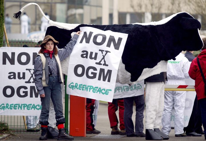 Une militante de l'organisation écologiste Greenpeace manifeste contre les OGM (Organisme génétiquement modifié) dans l'alimentation animale.&nbsp; (VALERY HACHE / AFP)