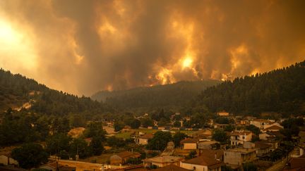 L'île d'Euboea en Grèce, ravagée par des incendies le 8 août 2021. (ANGELOS TZORTZINIS / AFP)