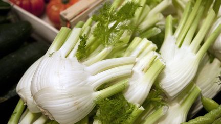 Du fenouil frais sur un étal de marché pour préparer du thé, des plats cuisinés et des boissons anisées. (SEBASTIEN JARRY / MAXPPP)