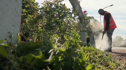 Poitiers : des espaces verts sans pesticides