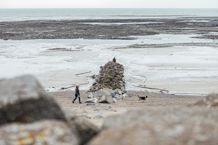 Un épis, ouvrage de défense contre l'érosion littorale, le 11 mars 2020 à Agon-Coutainville (Manche). (PIERRE MOREL / FRANCEINFO)