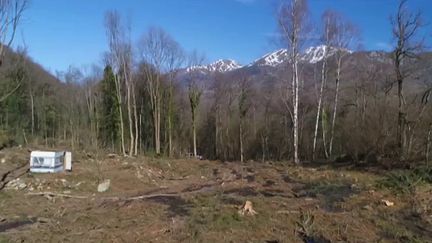 Mardi 14 décembre début le procès du bûcheron espagnol qui avait volé 350 arbres en Ariège. Il avait défiguré les forêts de Perles-et-Castelet, il y a presque un an. (CAPTURE ECRAN FRANCE 2)