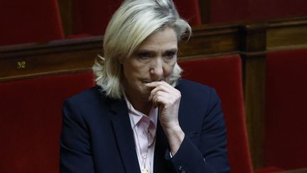 The president of the National Rally group at the National Assembly Marine Le Pen on December 7, 2023. (LUDOVIC MARIN / AFP)