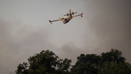 Un Canadair français lors d'un incendie à Agueda, Portugal, le 18 septembre 2024. (PATRICIA DE MELO MOREIRA / AFP)