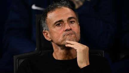 Luis Enrique lors du match entre Milan et le PSG, le 7 novembre 2023. (MARCO BERTORELLO / AFP)