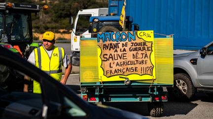 Un membre de la Coordination rurale filtre les véhicules à la barrière de péage de l'A9 au Boulou, dans les Pyrénées-Orientales, le 19 novembre 2024. (JC MILHET / HANS LUCAS / AFP)