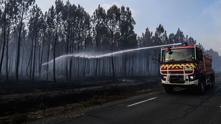 Des pompiers tentent d'éteindre un incendie dans une forêt près de Saumos (Gironde), le 14 septembre 2022 (THIBAUD MORITZ / AFP)