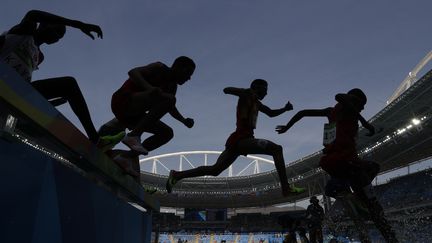 Des athlètes lors du 3 000 mètres steeple le 15 août 2016 aux JO de Rio (Brésil). (ADRIAN DENNIS / AFP)