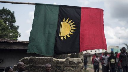 Manifestation le 28 mai 2017 pour commémorer le 50e anniversaire de la guerre du Biafra. (STEFAN HEUNIS / AFP)