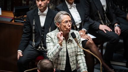 La première ministre, Elisabeth Borne, lors d'une séance de questions au gouvernement, à l'Assemblée nationale, le 14 novembre 2023. (XOSE BOUZAS / HANS LUCAS / AFP)