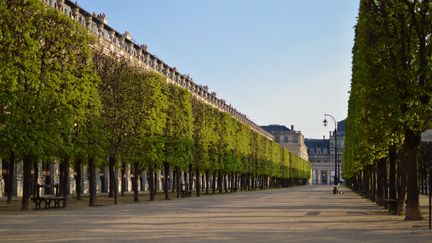 Un&nbsp;jardin parisien désert, en avril 2020. (VICTOR VASSEUR / FRANCE-INFO)