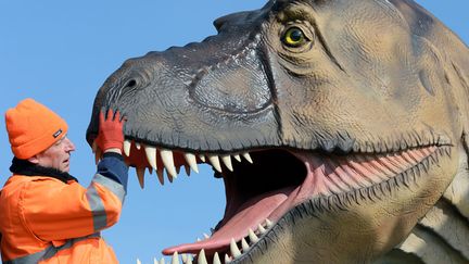 Un employ&eacute; travaille sur une sculpture de dinosaure quelques jours avant l'ouverture d'une exposition&nbsp;&agrave;&nbsp;Wustermark (Allemagne), le 23 mars 2015. (RALF HIRSCHBERGER / DPA / AFP)