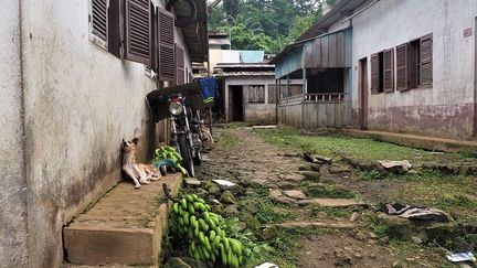 Aujourd’hui, quelque 8.000 Cap-Verdiens résident encore officiellement à Sao Tomé-et-Principe, qui compte environ 210.000 habitants. Beaucoup vivent dans une grande précarité, sans eau potable et avec une électricité très défaillante. Dans une étude datée de 2014, Nardi Sousa et Elias Alfama Moniz, deux chercheurs de l'université de Santiago au Cap-Vert, affirment que les immigrés Cap-verdiens sont dans une "situation indigne et dégradante" et n'ont pas les revenus pour vivre dignement.&nbsp; &nbsp;&nbsp; (ADRIEN MAROTTE / AFP)