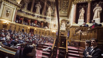 L'hémicycle du Sénat. (LIONEL BONAVENTURE / AFP)