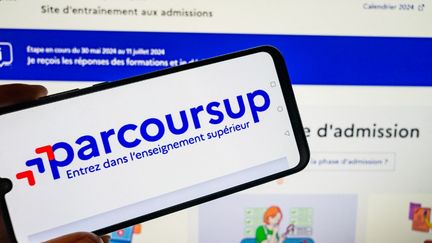 La phase d’admission principale "a été plus efficace pour proposer plus de choix et plus vite aux candidats" que l'année précédente, affirme le ministère dans un communiqué. (JEAN-MARC BARRERE / HANS LUCAS / AFP)