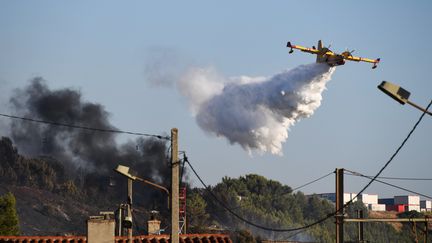 Un Canadair survole la zone de Vitrolles (Bouches-du-Rhônes) où&nbsp;un incendie s'est déclaré&nbsp;le 10 juillet 2019.&nbsp; (CHRISTOPHE SIMON / AFP)