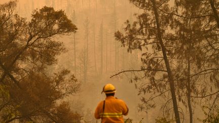 Un pompier observe la végétation brûlée par l'incendie Carr à Redding en Californie, le 27 juillet 2018.&nbsp; (JOSH EDELSON / AFP)