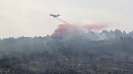 Un avion&nbsp;déverse de l'eau au dessus d'un feu à Saint-Cézaire-sur-Siagne (Alpes-Maritimes), mardi 1er août 2017. (VALERY HACHE / AFP)