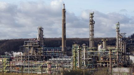 Vue de la raffinerie Petroplus &agrave; Petit-Couronne (Seine-Maritime) le 6 janvier 2012.&nbsp; (KENZO TRIBOUILLARD / AFP)