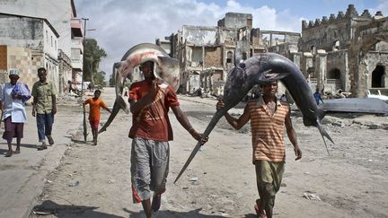 Des Somaliens transportent un espadon et un requin au march&eacute; de Mogadiscio (Somalie), le 25 octobre 2012. (FARAH ABDI WARSAMEH / AP / SIPA)