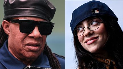 Incendies de Los Angeles : de Billie Eilish à Stevie Wonder, des dizaines d'artistes joueront au FireAid, concert de charité prévu le 30 janvier