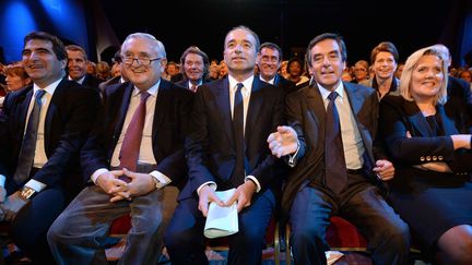 Christian Jacob, Jean-Pierre Raffarin, Jean-Fran&ccedil;ois Cop&eacute;, Fran&ccedil;ois Fillon et Mich&egrave;le Tabarot, assistent au conseil national de l'UMP, le 25 janvier 2014 &agrave; Paris. (PIERRE ANDRIEU / AFP)