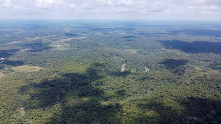 Vue aérienne de l'Amazonie colombienne, le 6 novembre 2021. (LUIS ROBAYO / AFP)